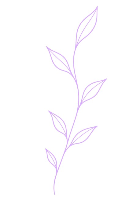 lilac plant plant illustration